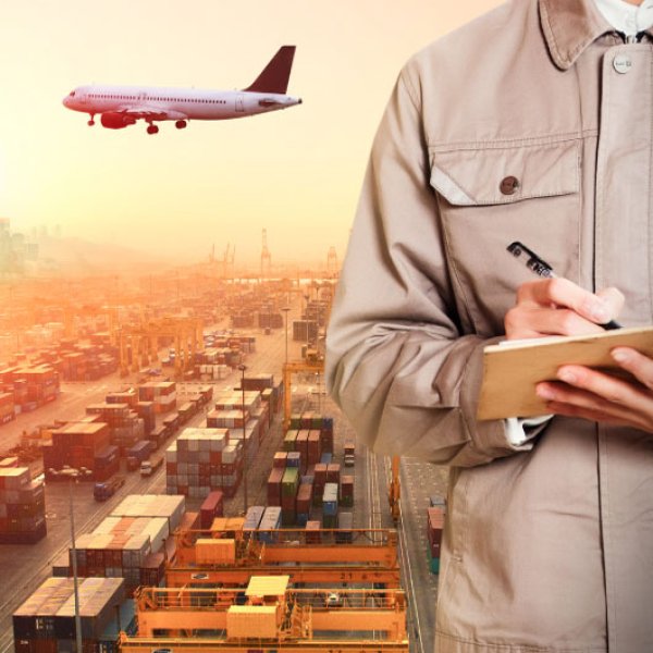 Import and export customs declaration and inspection